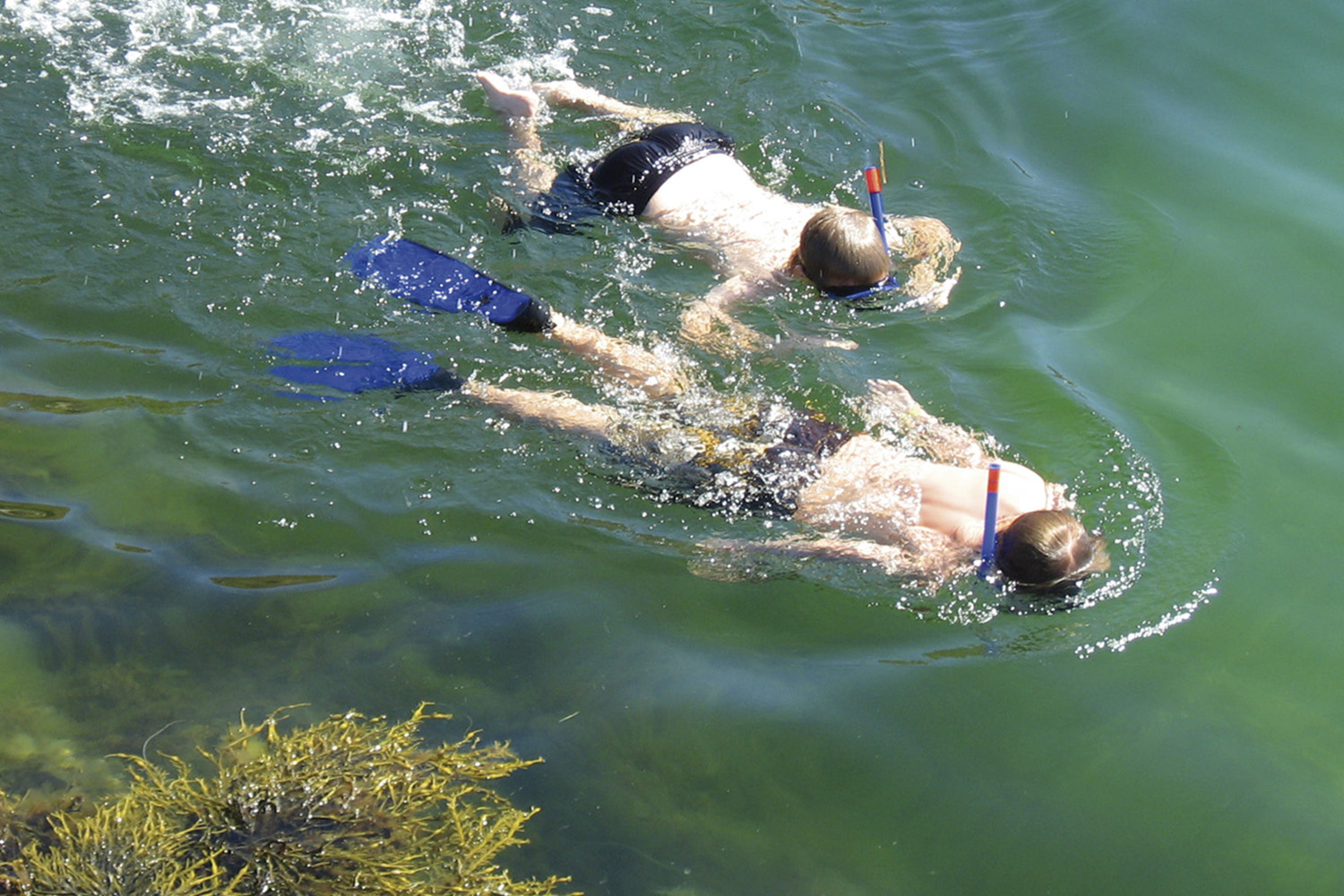 WEB_RAET_Snorkling_Berg_1500