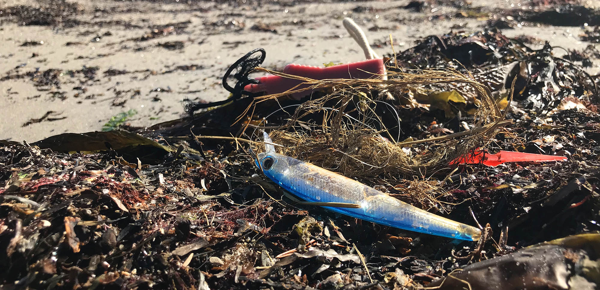Fiskesnører, fiskekroker, fibre fra nylontau og små plastbiter kan skade sjøfuglene. Ser du noe sånt setter både fuglene og vi i Raet nasjonalpark pris på at du plukker det med deg slik at det ikke blir liggende i