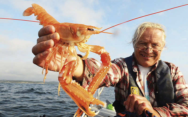HAVET_sjokreps