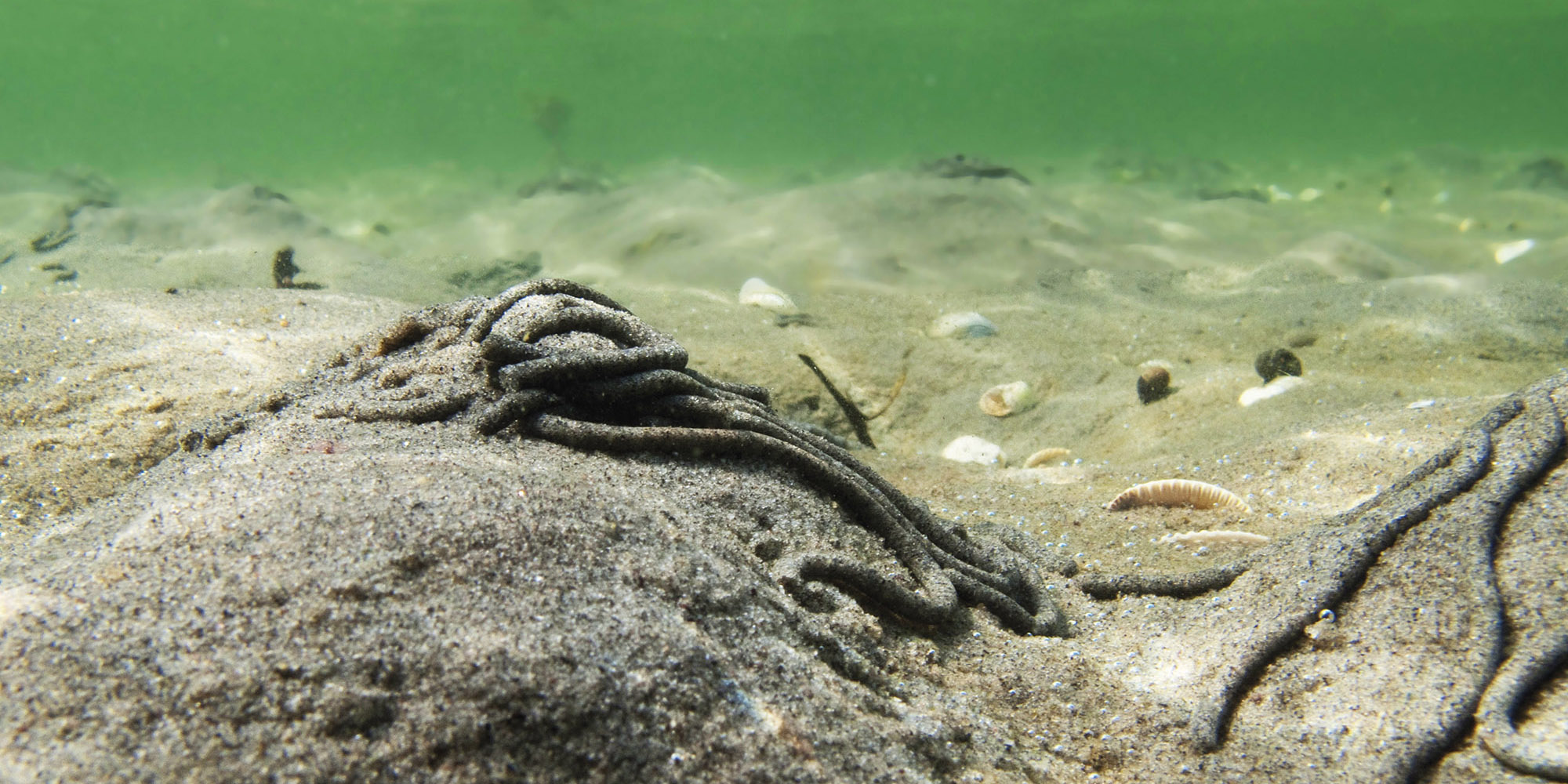 Strand_fjaeremark_hovedbilde_02